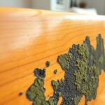 Mold on wood furniture